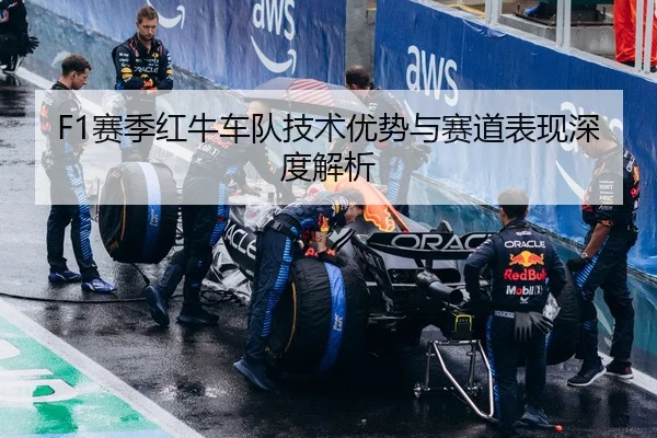 F1赛季红牛车队技术优势与赛道表现深度解析